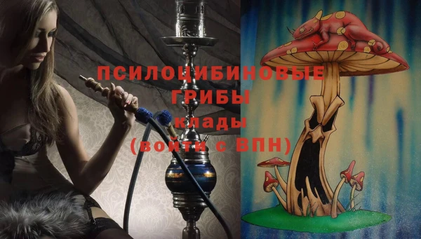 Альфа ПВП Нефтекумск