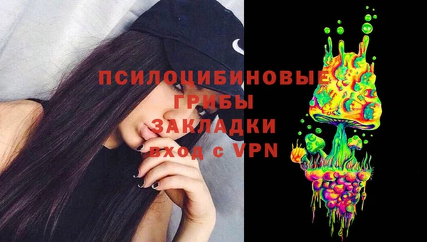 Альфа ПВП Нефтекумск