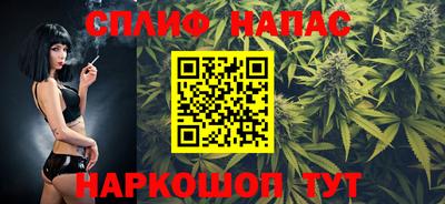Альфа ПВП Ачхой-Мартан