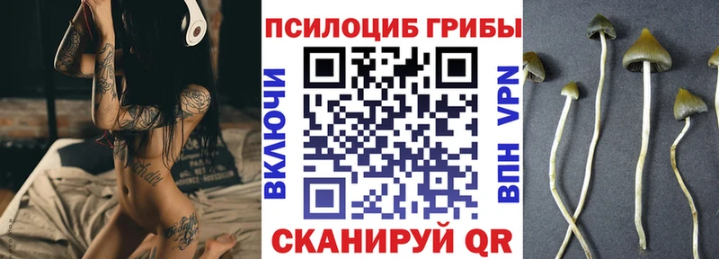Псилоцибиновые грибы Magic Shrooms  Ачинск 