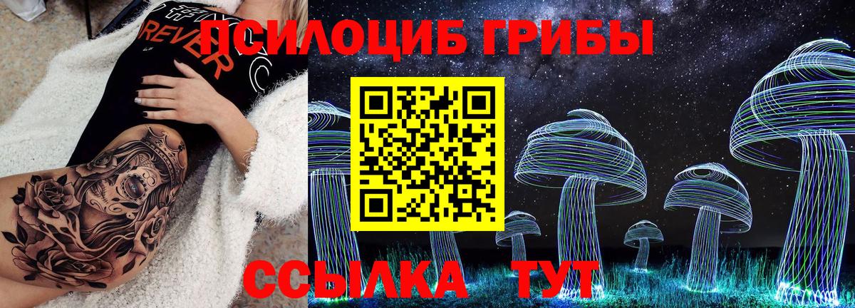 как найти наркотики  Галлюциногенные грибы Magic Shrooms  Вход с VPN  Галлюциногенные грибы прущие грибы  Ачинск 