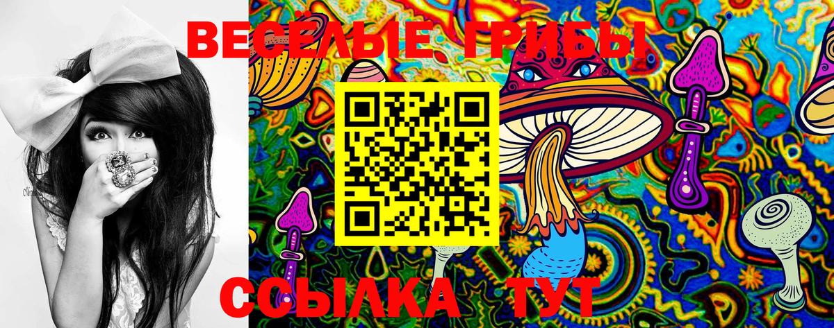 Псилоцибиновые грибы Cubensis Ачинск